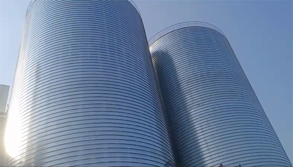 勐海2座混凝土高架卷板仓